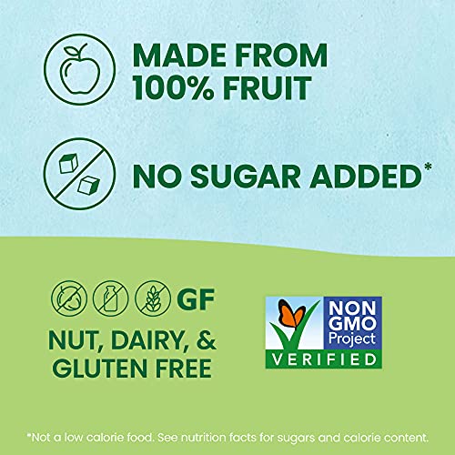 GoGo squeeZ Fruit on the Go Variety Pack, Apple Apple, Apple Banana, & Apple Strawberry, - Tasty Kids Applesauce Snacks - Gluten Free Snacks for Kids - Nut & Dairy Free - Vegan Snacks, 3.2 Ounce (Pack of 20)