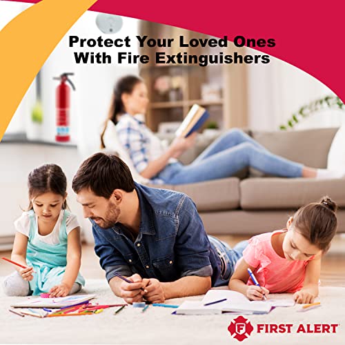 BRK First Alert FE1A10GR195 HOME1 Rechargeable Standard Home Fire Extinguisher UL Rated 1-A:10-B:C Pack of 2 Includes Wholesalehome Cleaning Cloth.
